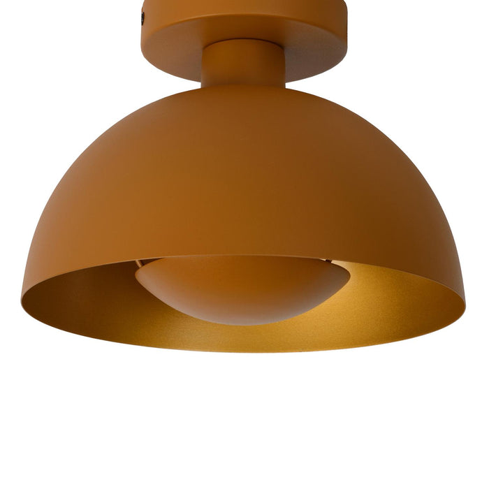 74604081-3163-418e-943f-abc39d7607a8-afbeelding3.jpg (2243333)