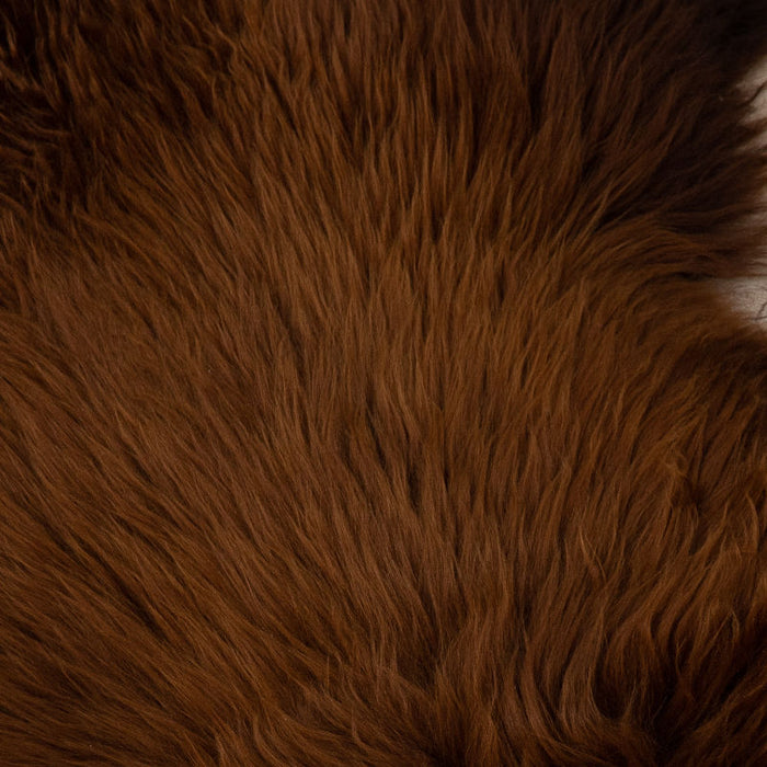 7e546e8b-855f-4477-9a33-33efa2ecdd43-afbeelding5.jpg (2256869)