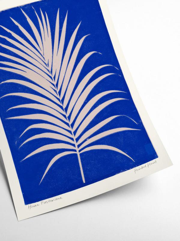 0d351ac2-1e32-4443-9d00-2505030907a6-sfeerbeeld.jpg (2261626)