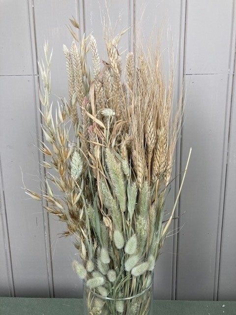 e9e9a2f4-9aff-4362-b9e8-b457aaeafcc4-afbeelding4.jpg (2305687)