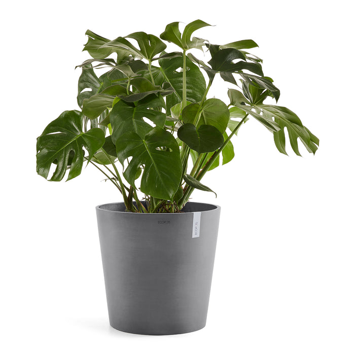 Ecopots Amsterdam 50