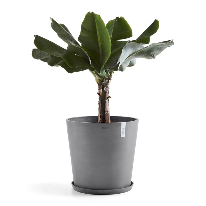 Ecopots Amsterdam 50