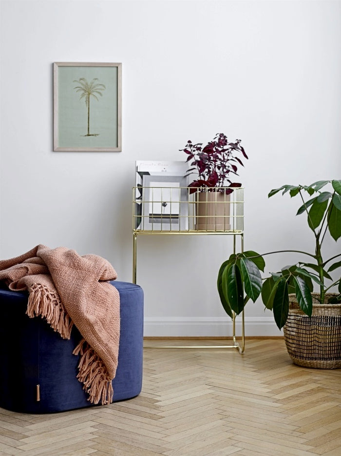 258381-2.jpg (2311999)