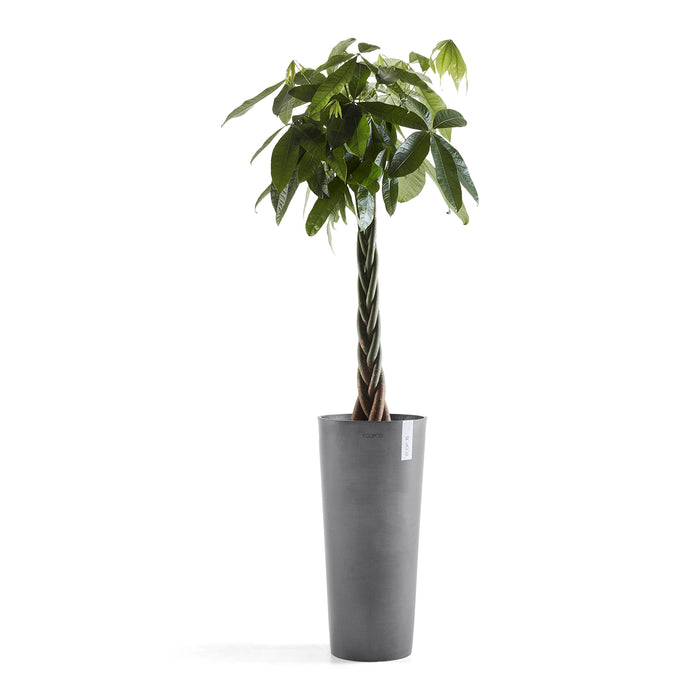 Ecopots Amsterdam High 70