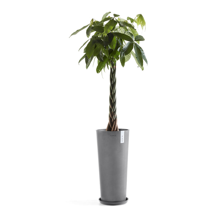 Ecopots Amsterdam High 70