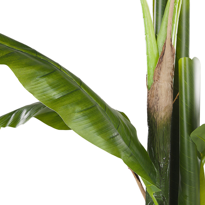 bdc5f45e-3e35-4ce0-a504-63f9b38dc61b-afbeelding5.jpg (2329291)