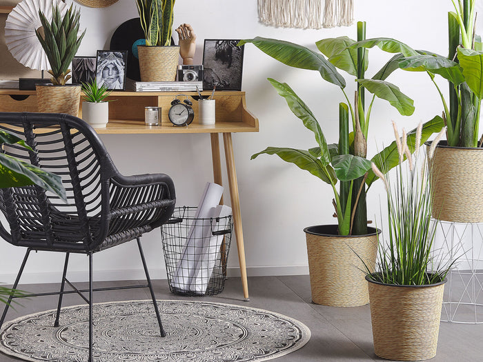 bdc5f45e-3e35-4ce0-a504-63f9b38dc61b-sfeerbeeld.jpg (2329294)