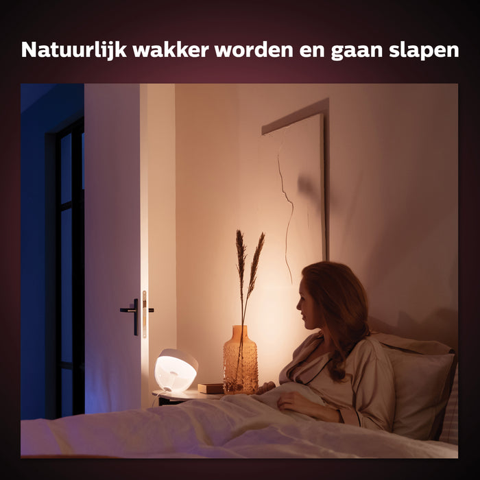 Philips Hue Iris Tafellamp - Zilver