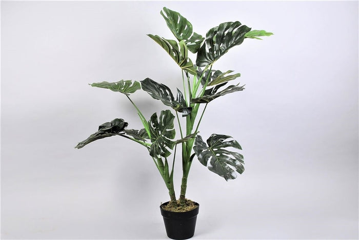 dacf32f5-7214-4d4e-a13d-f5119c78c4bf-sfeerbeeld.jpg (2366575)