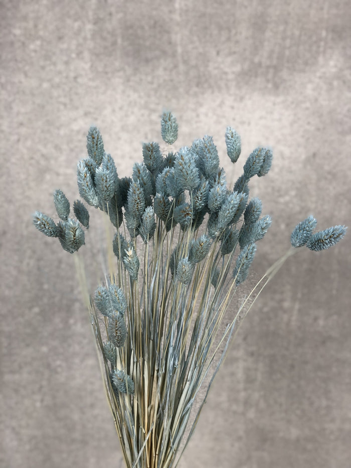 53c2f3e6-adb5-49b6-a5c4-30076440b8d9-afbeelding3.jpg (2391464)