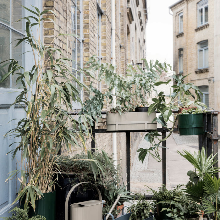 305429-x02.jpg (2447363)