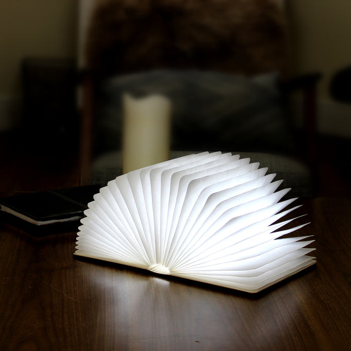 Gingko Smart LED Book Light Mini Lamp