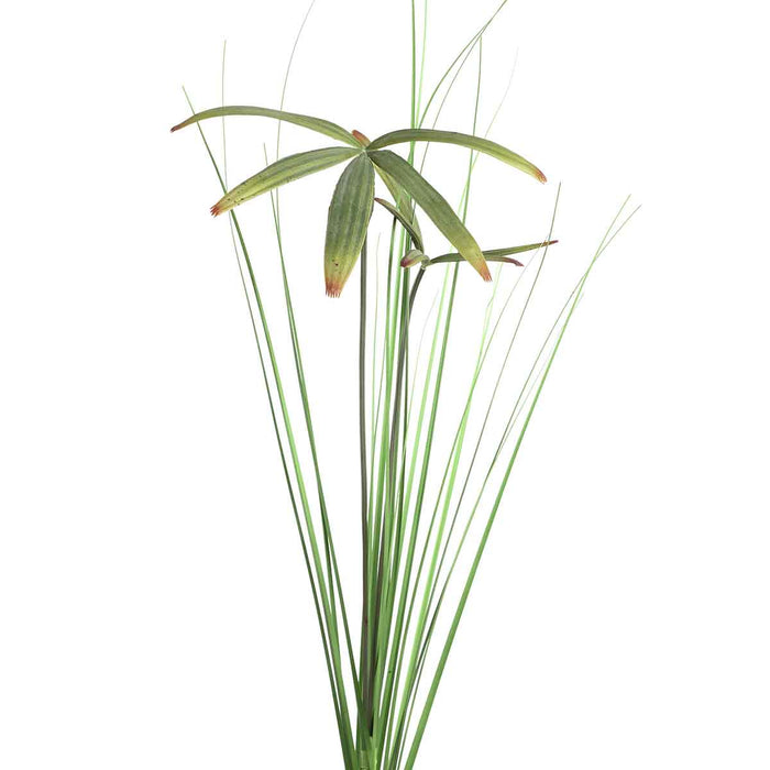 47cab371-1dc9-4c21-b9dd-af03488d6040-afbeelding3.jpg (2465204)