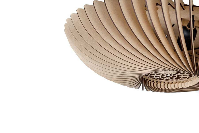 04efb42e-b25c-4c16-ae93-ba3d8d7ca049-afbeelding3.jpg (2473895)