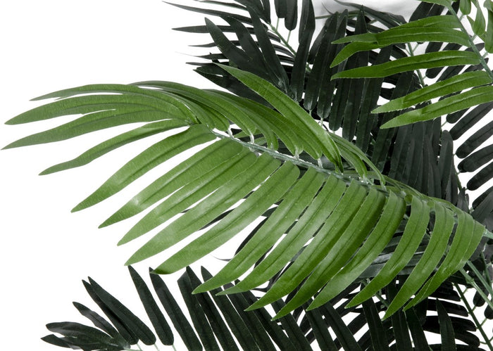 78869849-0d48-4f7a-ac3e-30419ce83eeb-afbeelding5.jpg (2497334)