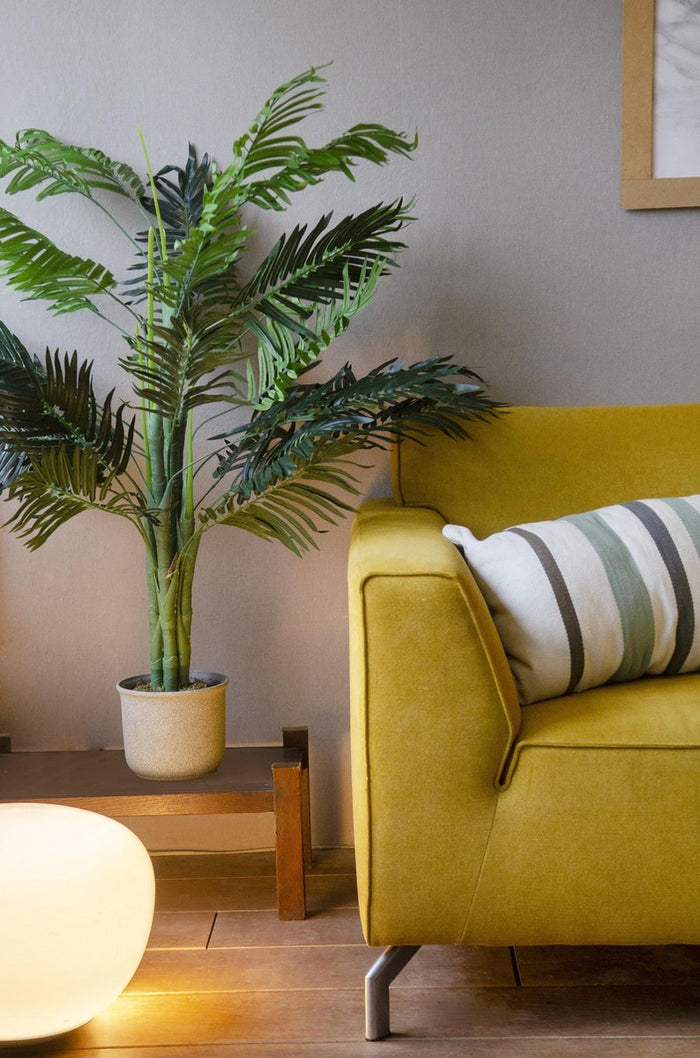 78869849-0d48-4f7a-ac3e-30419ce83eeb-sfeerbeeld.jpg (2497335)