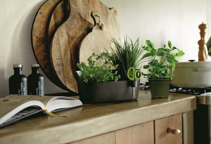 Elho Brussels Herbs Station Kruidenpot