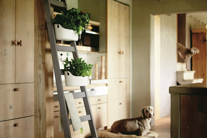 Elho Brussels Herbs Station Kruidenpot