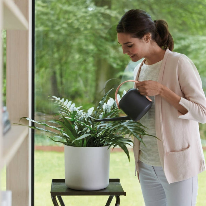 217459-x6.jpg (2526927)