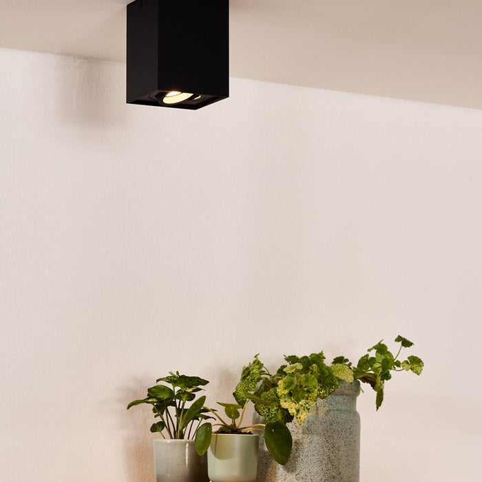 19648212-cbd1-42d2-9184-478f5b676df7-afbeelding4.jpg (2526978)