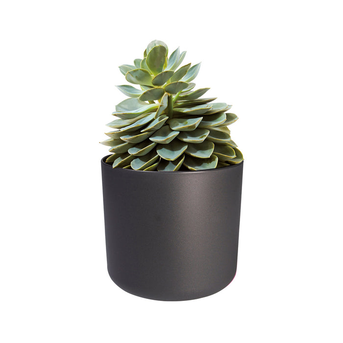 Elho B.For Soft Bloempot Rond 30 cm