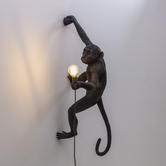 Seletti Monkey Outdoor Lampresin Hanging