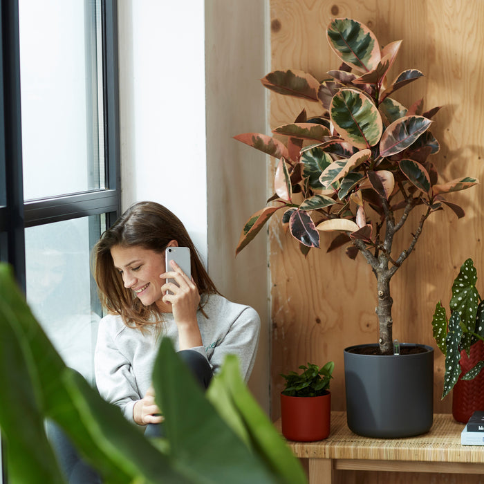 Elho B.For Soft Bloempot Rond 30 cm