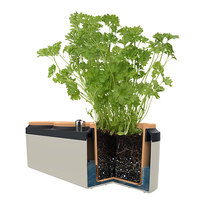 Gusta TerraCotcha Kruidenplanter 3 Potten