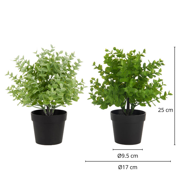 4db981d0-3181-4813-93c8-2d2d25223fbf-afbeelding4.jpg (2548440)