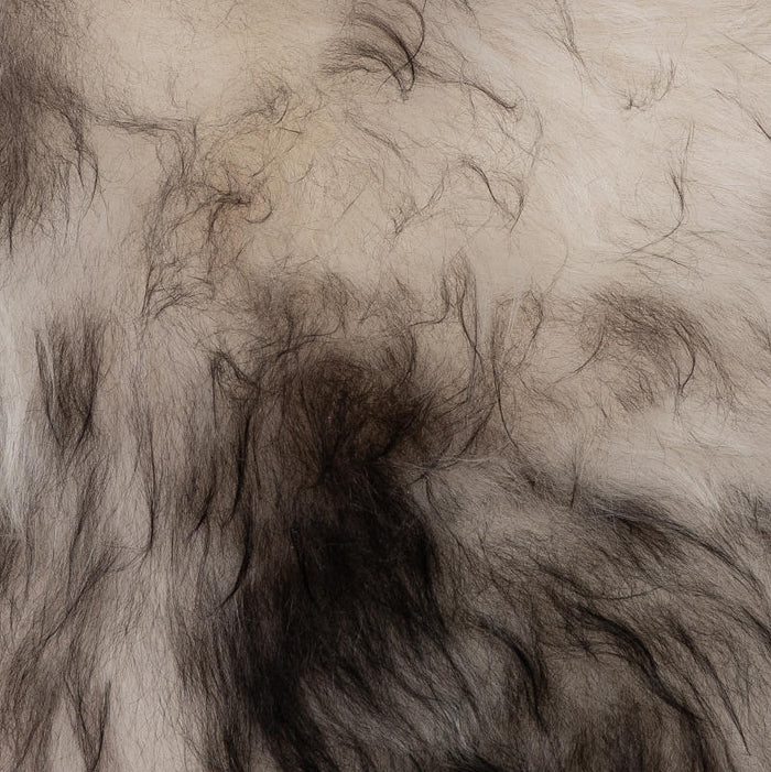 862753c2-6ad5-4cff-9386-bb6595e86926-afbeelding5.jpg (2549355)