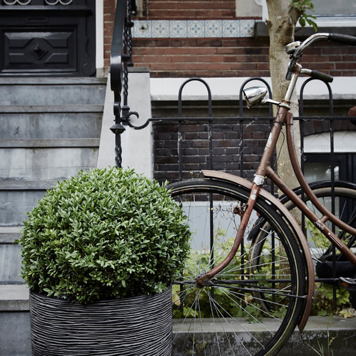 Capi Europe Nature Rib Rond Bloempot 54 cm