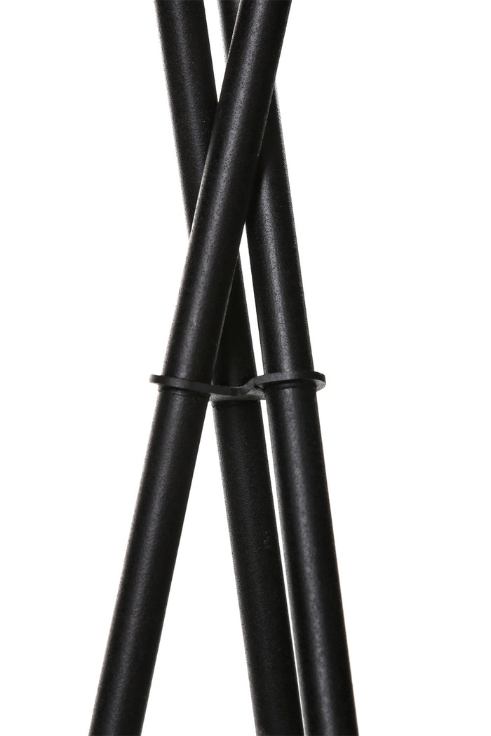 244472-4.jpg (2570716)