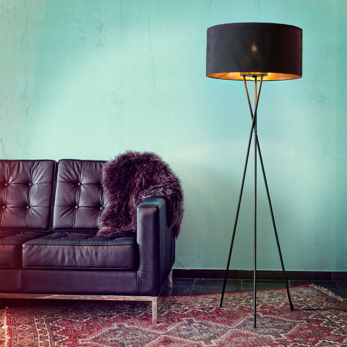 244472-x2.jpg (2570724)