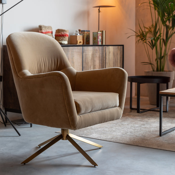 270472-x1.jpg (2570782)