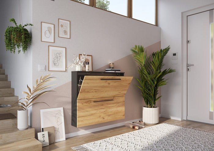 Germania Wildomar Schoenenkast 2 Kleppen Grafiet | Eiken