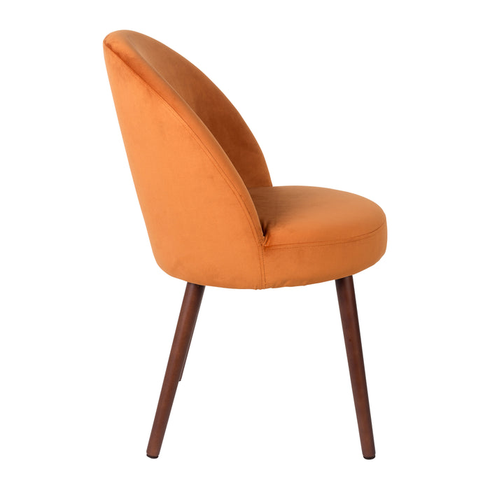 231507-x2.jpg (2577169)