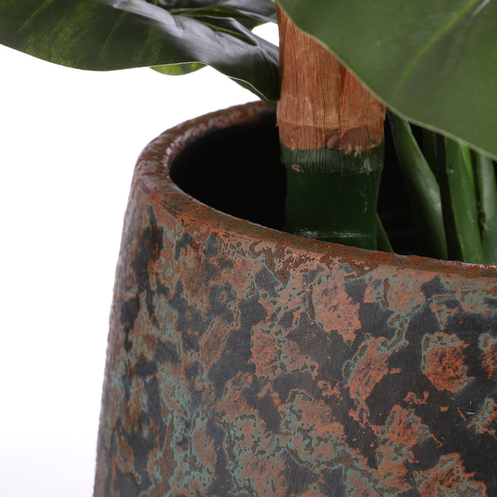 a0656241-02db-40c6-ad71-1938bda46bcf-afbeelding10.jpg (2577709)