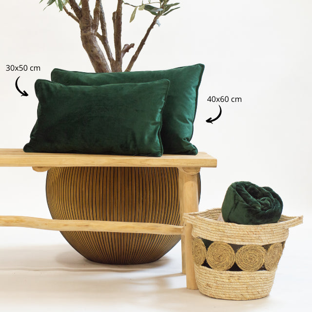 3567c04c-a4c8-445a-8dff-2f069ba20967-afbeelding3.jpg (2578285)