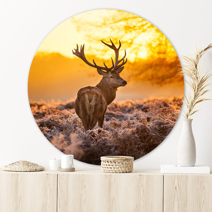 10869392-6990-4787-b229-40a45493adde-sfeerbeeld.jpg (2586395)