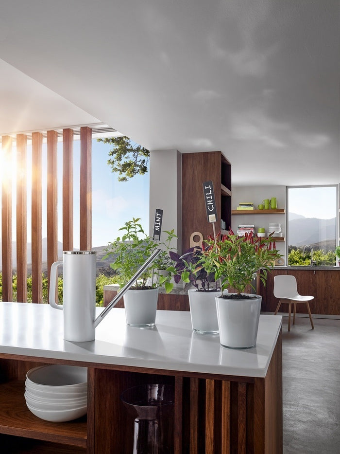 Blomus Limbo Plantengieter