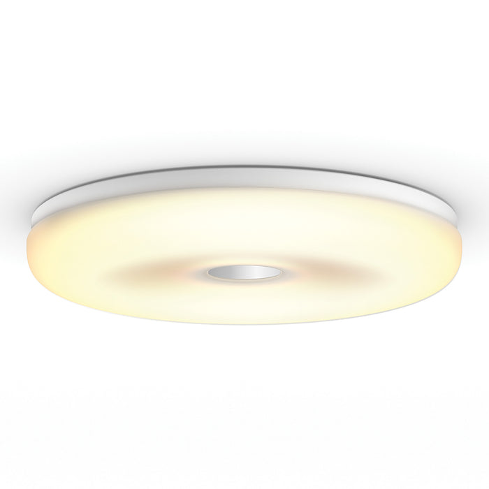 310476-x05.jpg (2597649)