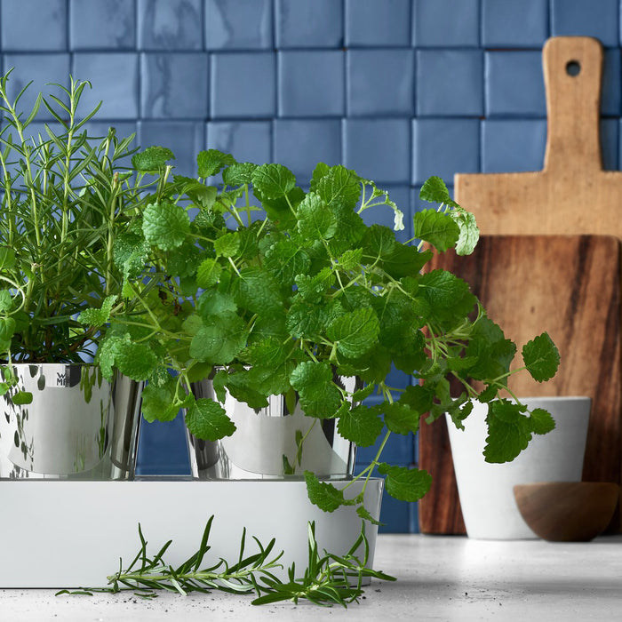 WMF Gourmet Kruidentuin