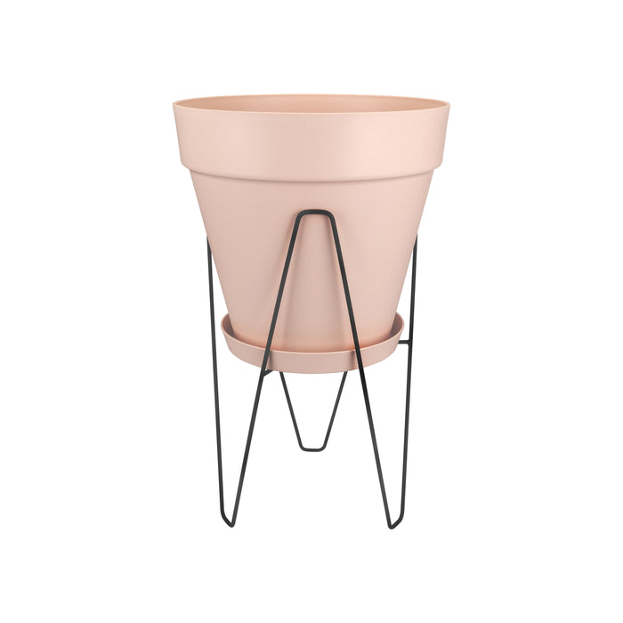 217483-x1.jpg (2631159)