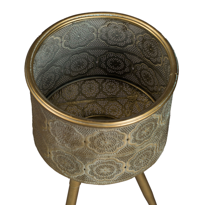 274521-x01.jpg (2655398)