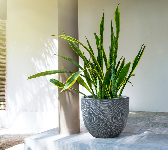 MA'AM Jade bloempot D24,0xH19,6