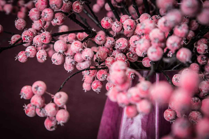 PTMD Berry Plant Bessen Kunsttak - 50 x 18 x 99 cm - Rood