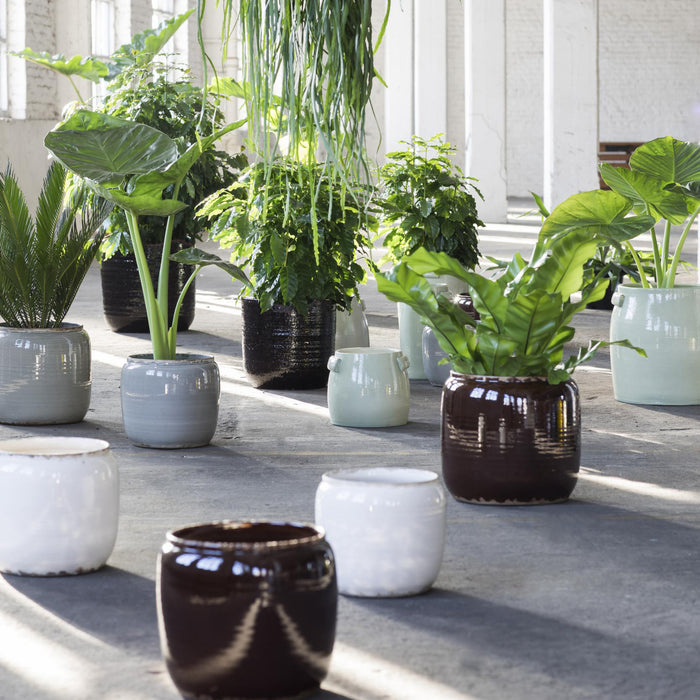 194490-x1.jpg (2664670)