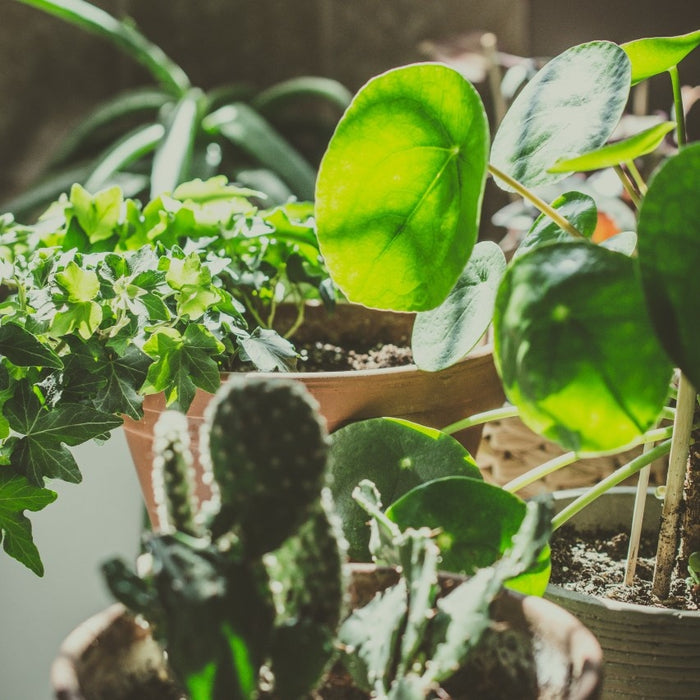 1da818a0-f7c1-4d3f-92c1-60f4c9193426-afbeelding3.jpg (2674861)