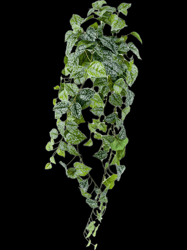 d83b1632-9d3a-42e0-9dfb-779ca51a558e-afbeelding3.jpg (2679251)