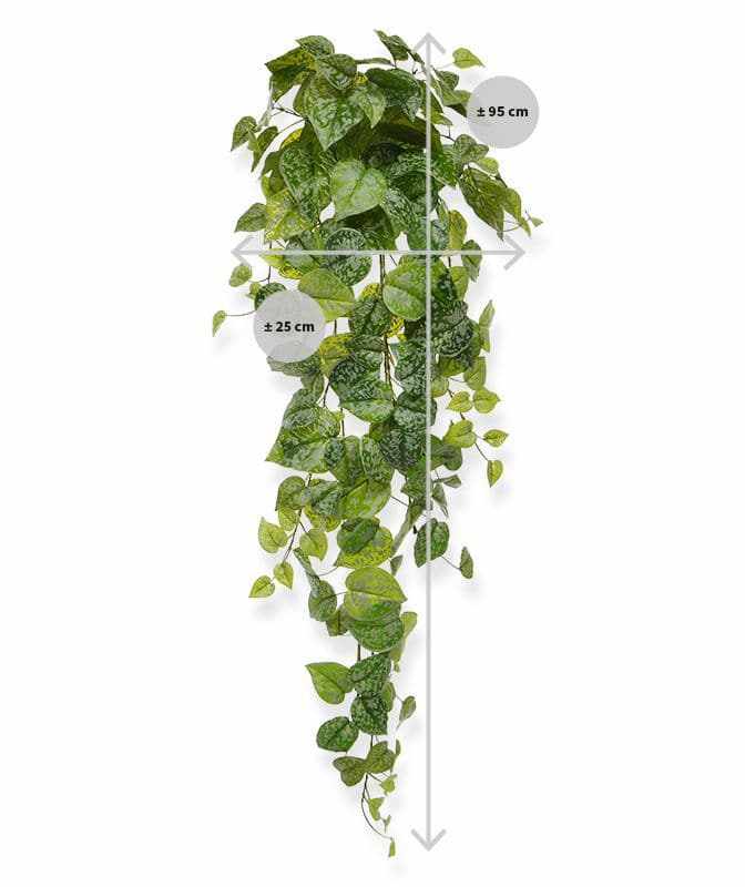 d83b1632-9d3a-42e0-9dfb-779ca51a558e-afbeelding4.jpg (2679252)